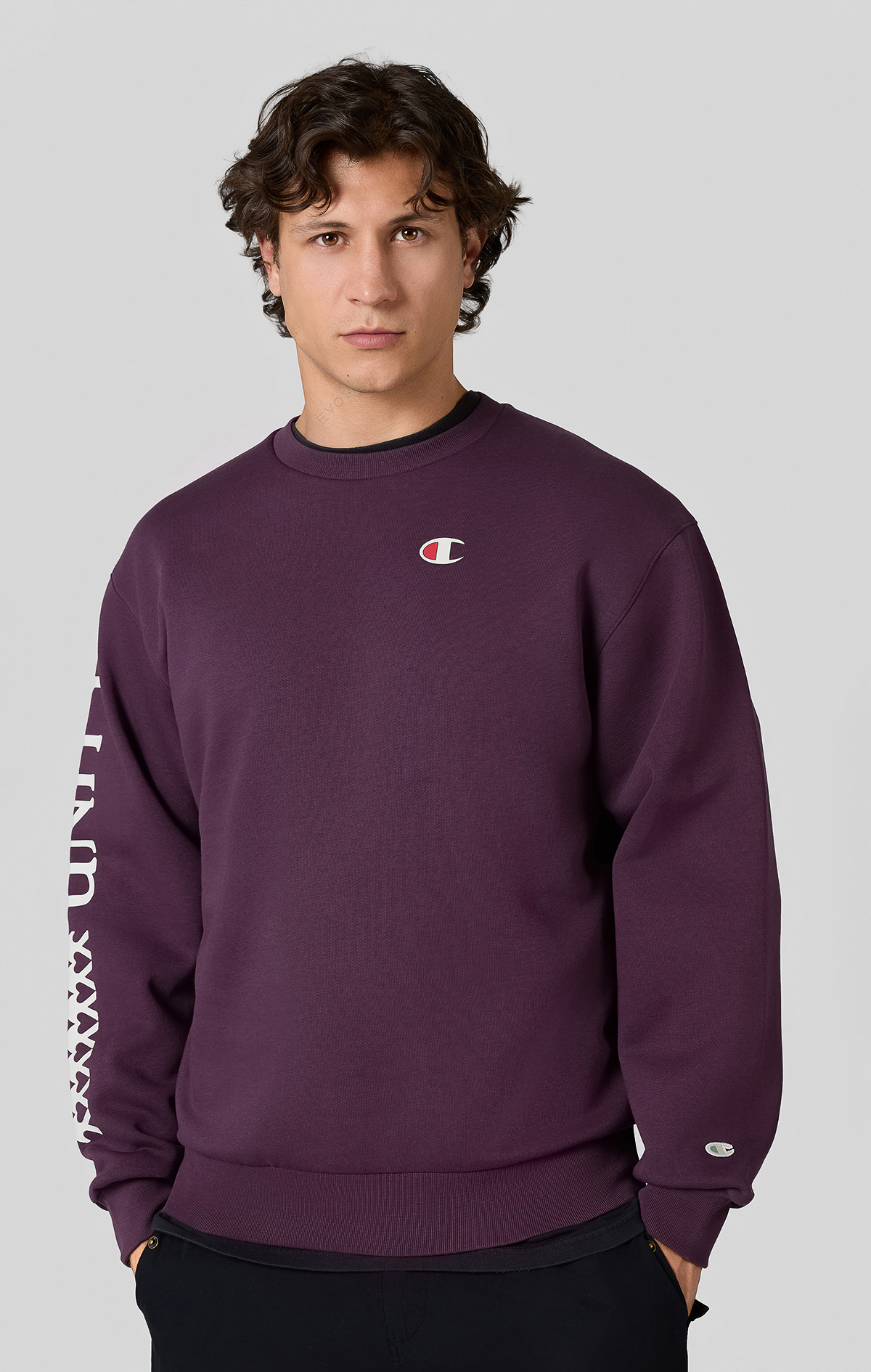 Eco Future Erkek Mor Standard Fit Crewneck Sweatshirt | Champion